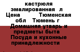 кастрюля эмалированная 8л › Цена ­ 500 - Тюменская обл., Тюмень г. Домашняя утварь и предметы быта » Посуда и кухонные принадлежности   